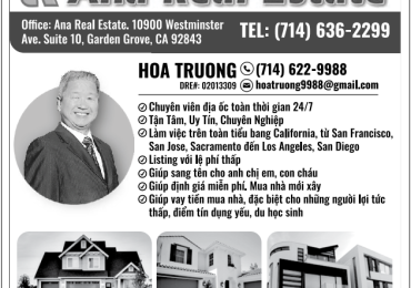 Ana Real Estate