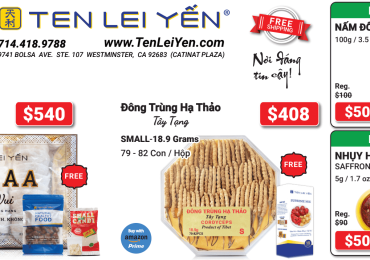 TEN LEI YẾN