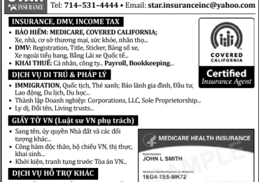 DIAMOND STAR INSURANCE, INC.